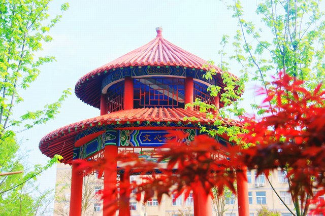 苏琳莉 摄影4.jpg 苏琳莉 摄影4.jpg