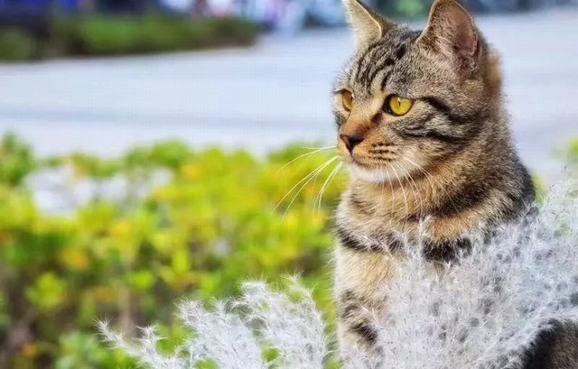 张亚如 摄影作品3.jpg 张亚如 摄影作品3.jpg